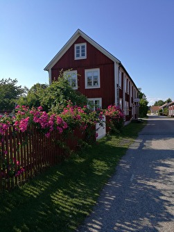 dom s rozami